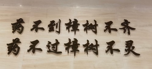 WechatIMG1293_副本.jpg
